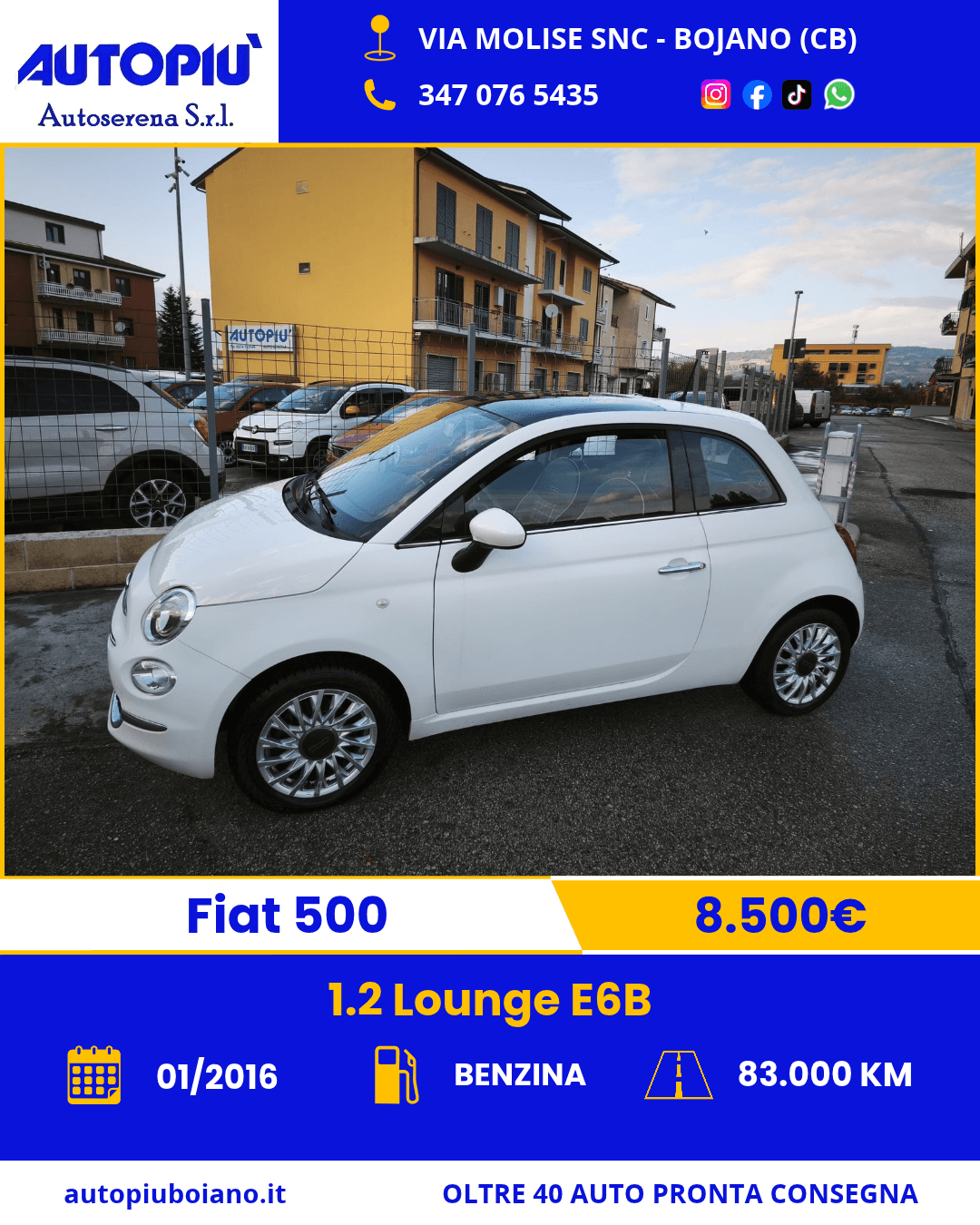 500 Bianca